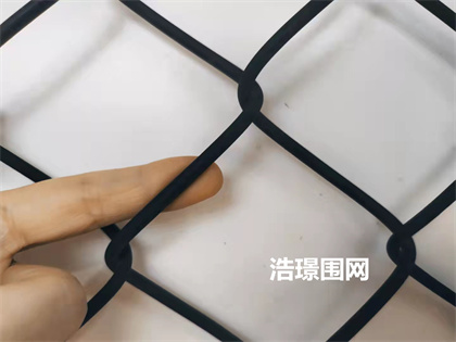 成都球場(chǎng)圍欄網(wǎng)