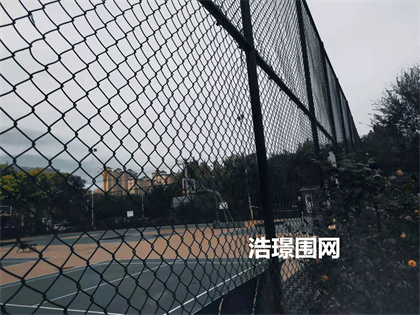 圍網43.jpg