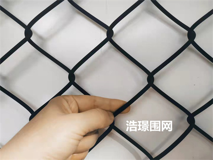 球場圍欄網(wǎng)
